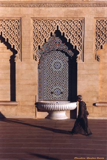 facade-architecture-fez-place-maroc-.jpg*369*550