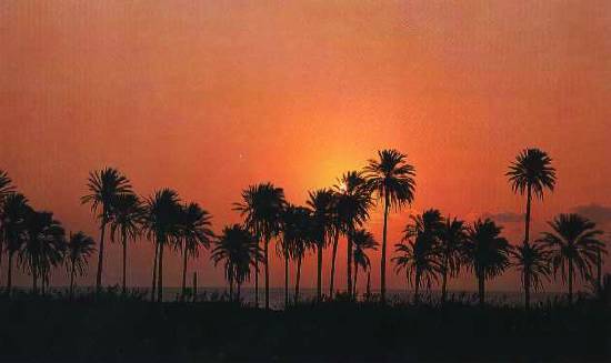 coucher-soleil-mer-fritna-marrakesh-.jpg*550*327