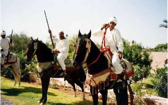 divers-chevaux-hotel-marrakech-maroc-.jpg*550*344