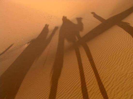 ombre-dune-deserts-coucher-erg-.jpg*550*413