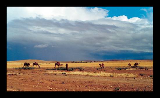 temps-nuageux-deserts-route-marrakech-.jpg*550*336