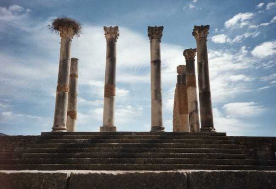 architecture-ruines-volubilis-meknes-maroc-.jpg*550*376