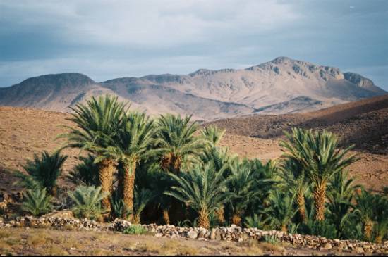 montagne-nomas-anti-maroc-ouarzazate-.jpg*550*365
