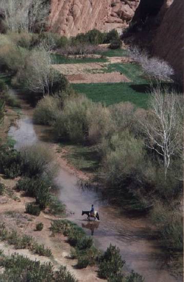 riviere-deserts-desert-sud-ouarzazate-.jpg*359*550