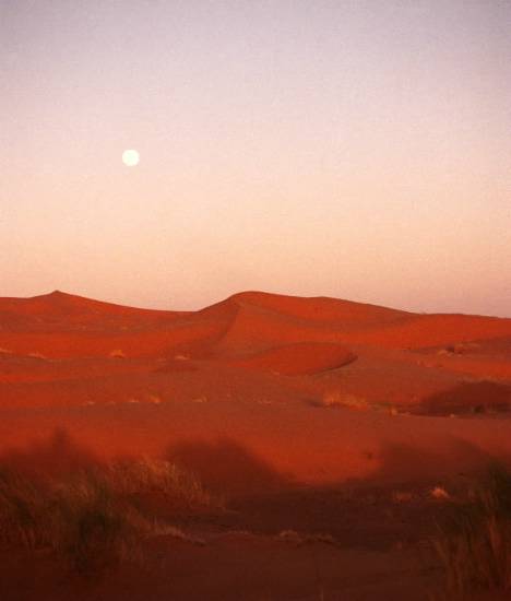 deserts-desert-sud-erfoud-maroc-.jpg*468*550