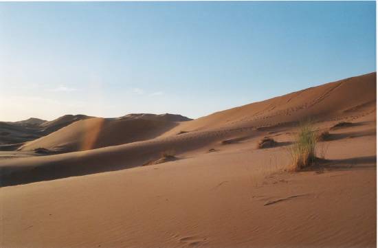 deserts-dunes-erfoud-maroc-.jpg*550*361