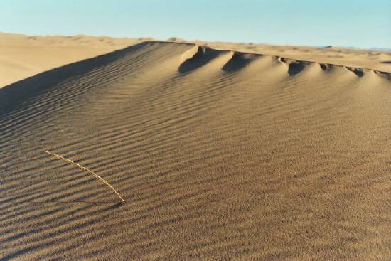 dune-deserts-desert-dunes-zagora-.jpg*550*367