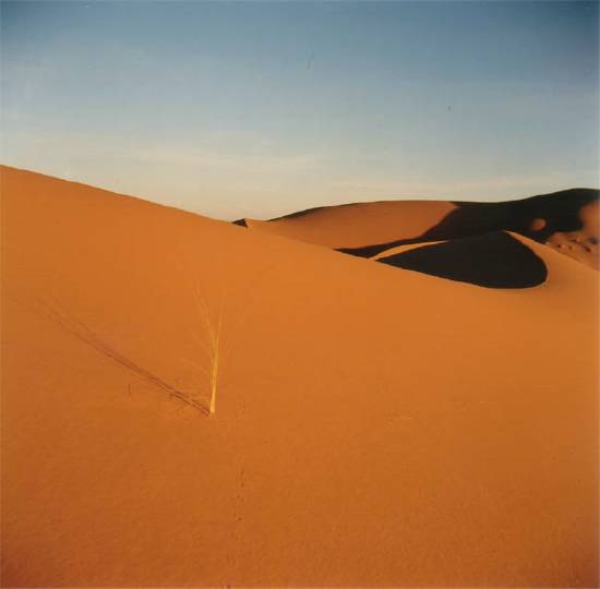 dune-deserts-peu-desert-merzouga-.jpg*550*540