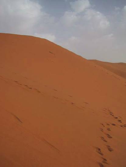 dune-deserts-quelques-dunes-merzouga-.jpeg*414*550